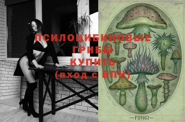 скорость Богданович