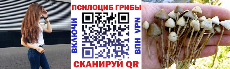 что такое наркотик  ссылка на мегу как зайти  Галлюциногенные грибы Psilocybine cubensis  Иркутск 